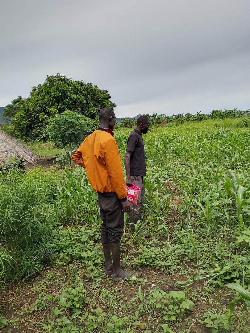 Asili Caring Hand officer conducting walking field assessment in Napak