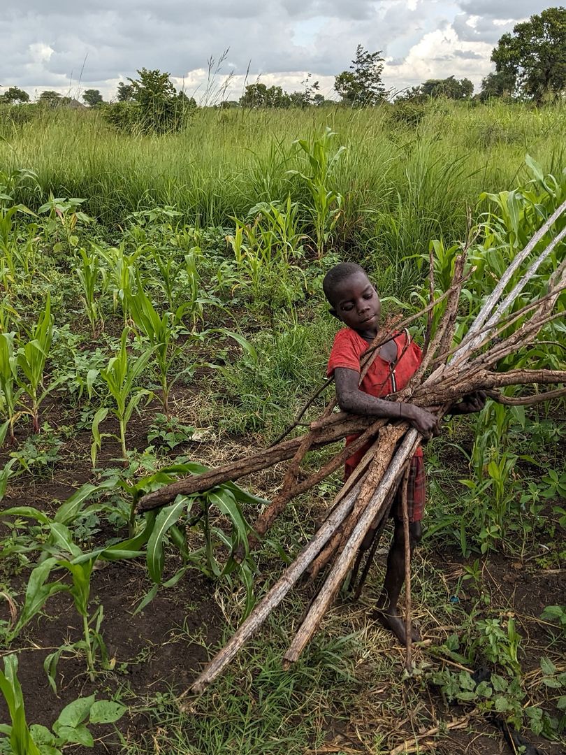 Community seed handover to youth and women farming leaders